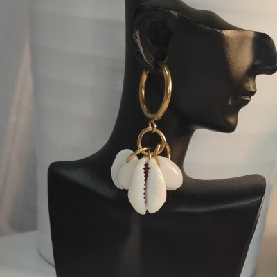 Boucles SIA