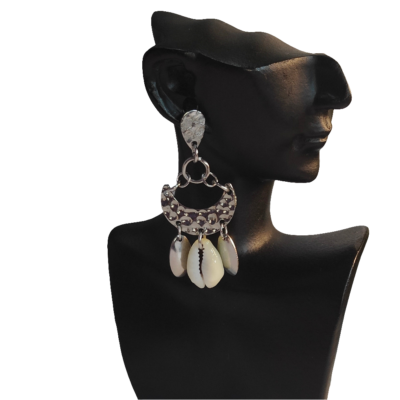 Boucles ANIE